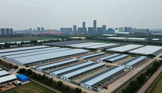 技术外包行业如何应对业务模式的持续演变