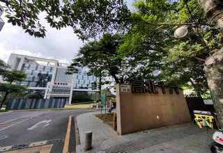 螺杆罗茨泵一般价格